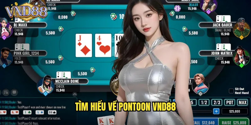 Tìm Hiểu Về Pontoon VND88