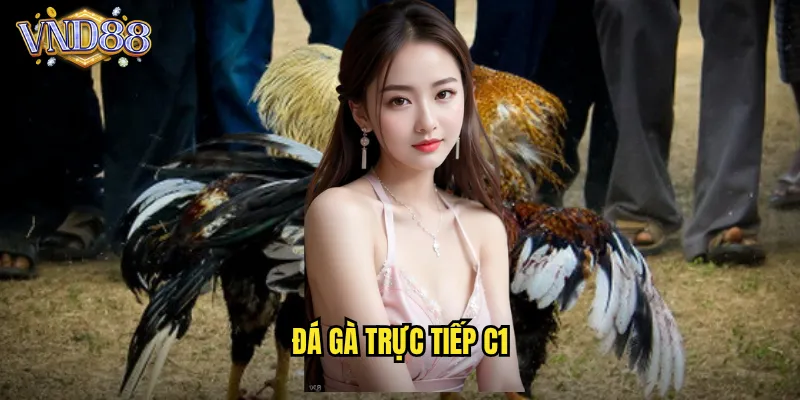 đá gà trực tiếp c1