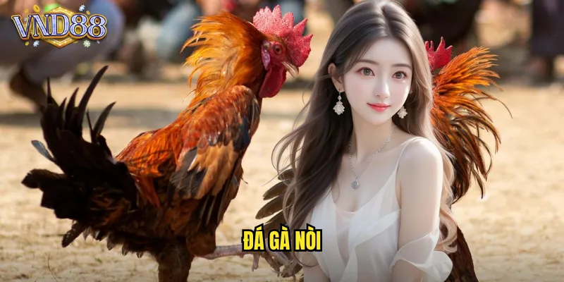 Đá Gà Nòi