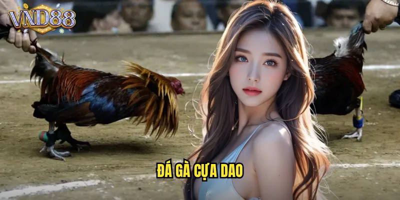 đá gà cựa dao