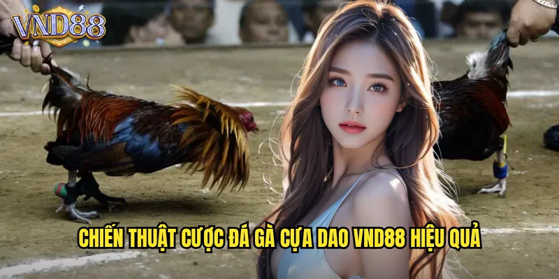 Chiến Thuật Cược Đá Gà Cựa Dao VND88 Hiệu Quả