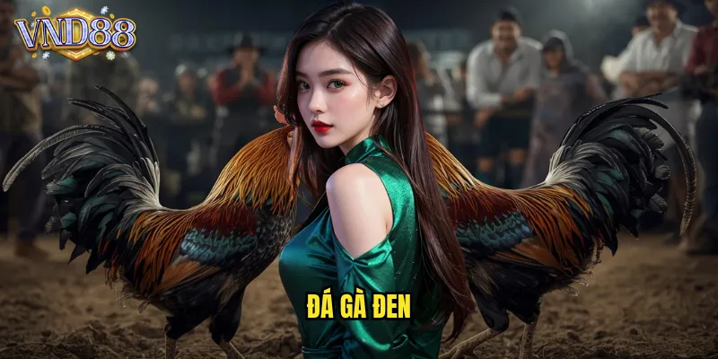 đá gà đen