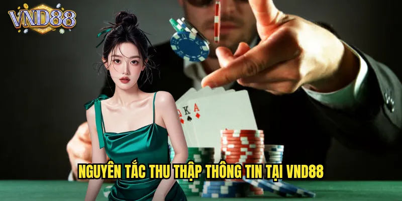 Nguyên Tắc Thu Thập Thông Tin Tại VND88